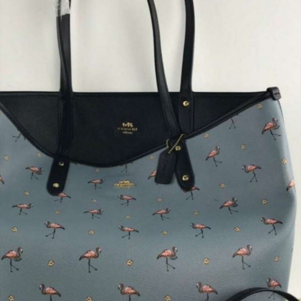 Cartera Coach | Renueva Tu Closet